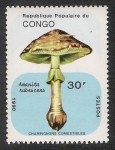 Stamps Republic of the Congo -  SETAS-HONGOS: 1.131.041,00-Amanita rubescens