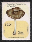Sellos de Africa - Rep�blica del Congo -  SETAS-HONGOS: 1.131.045,00-Pluteus cervinus