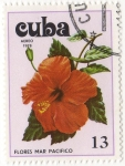 Sellos de America - Cuba -  Flores Mar Pacifico