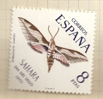Stamps Spain -  Dia del Sello SAHARA