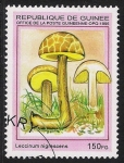 Stamps Guinea -  SETAS-HONGOS: 1.160.031,00-Leccinum nigrescens