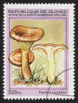 Stamps Guinea -  SETAS-HONGOS: 1.160.033,0-Paxillus involutus