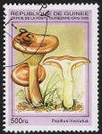 Stamps : Africa : Guinea :  SETAS-HONGOS: 1.160.033,01-Paxillus involutus -Phil.49332-Dm.995.87-Mch.1570-Sc.1333