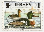 Stamps Europe - Jersey -  Aves 