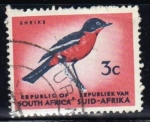 Stamps : Africa : South_Africa :  Shriks (Alcaudón)	