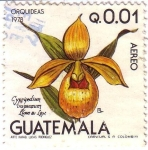 Stamps Guatemala -  Orquídeas