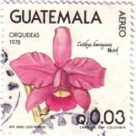 Stamps Guatemala -  Orquídeas