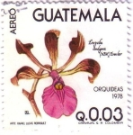 Sellos del Mundo : America : Guatemala : Orquídeas