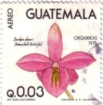 Sellos de America - Guatemala -  Orquídeas