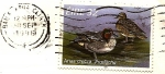 Stamps Ireland -  Pato aliverde - cerceta común 