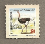 Stamps Africa - Tunisia -  Avestruz