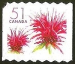 Stamps Canada -  FLORA