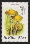 Stamps Saint Kitts and Nevis -  SETAS-HONGOS: 1.216.003,00-Psilocybe cubensis