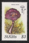 Stamps America - Saint Kitts and Nevis -  SETAS-HONGOS: 1.216.005,00-Boletellus cubensis