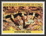 Stamps Republic of the Congo -  SETAS-HONGOS: 1.131.013,00-Armillariella mellea