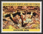 Sellos de Africa - Repblica del Congo -  SETAS-HONGOS: 1.131.013,00-Armillariella mellea