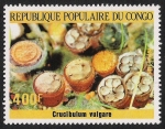 Stamps Republic of the Congo -  SETAS-HONGOS: 1.131.015,00-Crucibulum vulgare