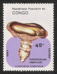 Sellos del Mundo : Africa : Republic_of_the_Congo : SETAS-HONGOS: 1.131.042,00-Catathelasma imperiale