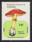 Sellos de Africa - Rep�blica del Congo -  SETAS-HONGOS: 1.131.043,00-Amanita caesarea