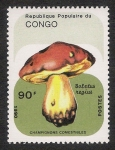 Stamps Republic of the Congo -  SETAS-HONGOS: 1.131.044,00-Boletus regius