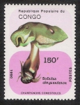 Sellos de Africa - Rep�blica del Congo -  SETAS-HONGOS: 1.131.046,00-Boletus chrysenteron