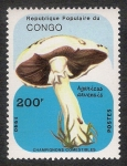 Stamps Republic of the Congo -  SETAS-HONGOS: 1.131.047,00-Agaricus arvensis