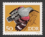 Stamps : Europe : Germany :  AVES: 2.152.108,00-Tichodroma muraria
