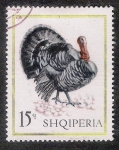 Stamps Europe - Albania -  AVES: 2.101.151,00-Meleagris gallopavo