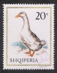 Stamps Albania -  AVES: 2.101.152,00-Anas sp.