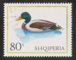 Stamps Albania -  AVES: 2.101.157,00-Anas sp. 