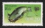 Stamps Germany -  PECES: 3.152.053,00-Silurus glanis