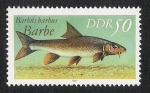 Stamps Germany -  PECES: 3.152.055,00-Barbus barbus