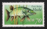 Stamps Germany -  PECES: 3.152.056,00-Esox lucius