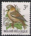 Stamps : Europe : Belgium :  Belgica 1985 Scott 1219 Sello º Aves Oiseaux Gros Bec Appelvink 3fr Belgique Belgium