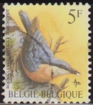 Stamps : Europe : Belgium :  Belgica 1985 Scott 1224 Sello º Aves Oiseaux Sittele Torchepot 5fr Belgique Belgium 