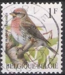 Stamps Belgium -  Belgica 1992 Scott 1432 Sello º Aves Oiseaux Sizerin flamme 1fr Belgique Belgium