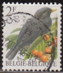 Sellos del Mundo : Europa : B�lgica : Belgica 1992 Scott 1433 Sello º Aves Oiseaux Merle Noir 2fr Belgique Belgium 