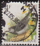 Sellos del Mundo : Europa : B�lgica : Belgica 1992 Scott 1436 Sello º Aves Oiseaux Bergeronette Grise 4fr Belgique Belgium 