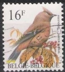 Stamps : Europe : Belgium :  Belgica 1993 Scott 1447 Sello º Aves Oiseaux Jaeeur Boreal 16fr Belgique Belgium 