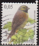 Stamps : Europe : Belgium :  Belgica 2005 Scott 2072 Sello º Aves Oiseaux Bruant Zizi Cirlegors 0,05€ Belgique Belgium 