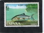 Sellos de Europa - Espaa -  2407- BARBO. BARBUS BARBUS
