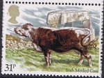 Stamps United Kingdom -  LA CRIA DE GANADO BRITÁNICA. VACA IRLANDESA SIN CUERNOS