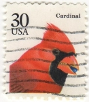 Stamps : America : United_States :  CARDINAL