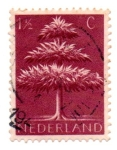 Sellos de Europa - Holanda -  -1942-FILI..Cercles