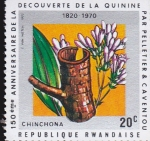 Stamps Rwanda -  ANIVERSARIO DE LA QUININA