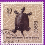 Stamps Poland -  