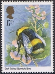 Stamps United Kingdom -  INSECTOS DEL REINO UNIDO. ABEJORRO