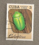 Sellos del Mundo : America : Cuba : Escarabajo