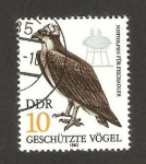 Stamps Germany -  ave, un halcón