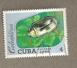 Stamps : America : Cuba :  Escarabajo